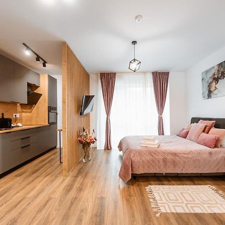 Alpine Line Studio Sinaia Dış mekan fotoğraf